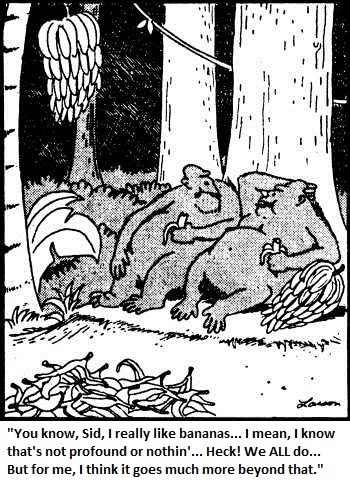 7b0668a619c04b1168db8db673846a13