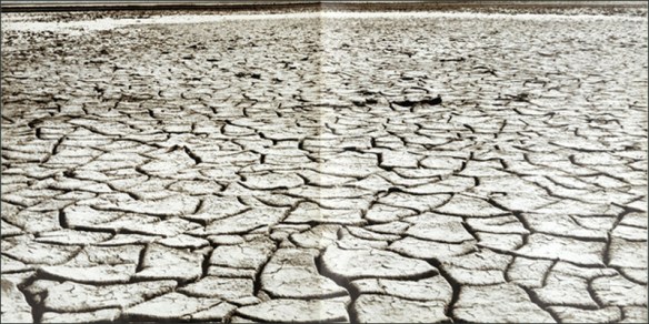 beachboys-surfsup(insert-a)